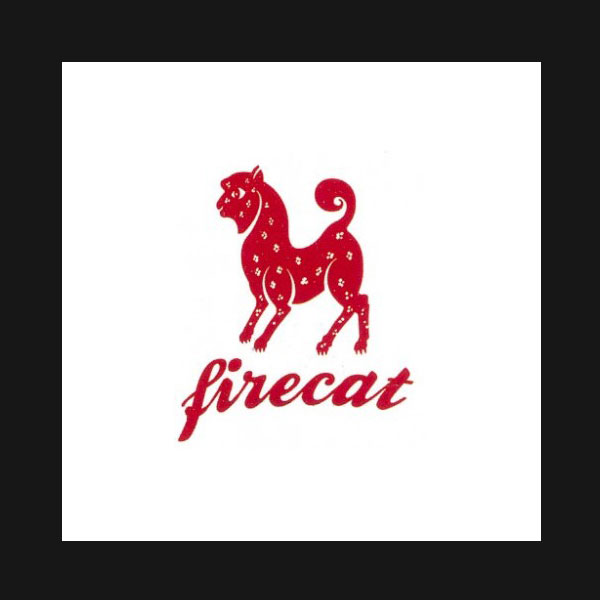 Interview with Stan Klein of Firecat Projects