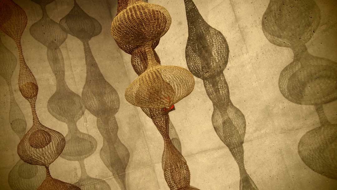 Ruth Asawa De Young Wire Sculptures