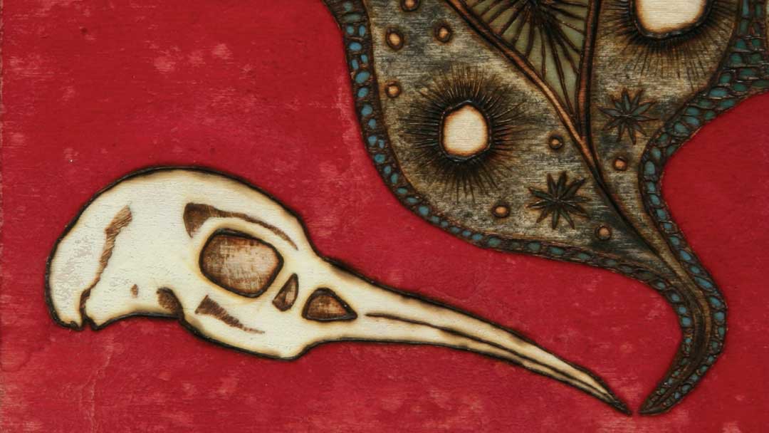 red bird skull dream artwork on wood